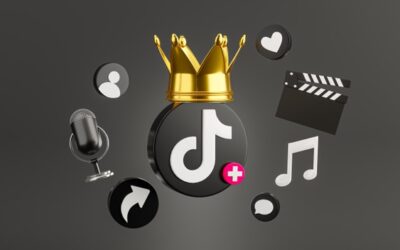 How the TikTok Algorithm Works